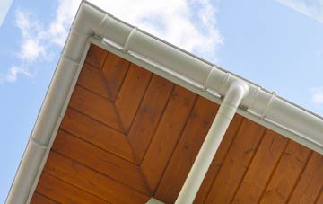 Llawr Y Glyn soffit types